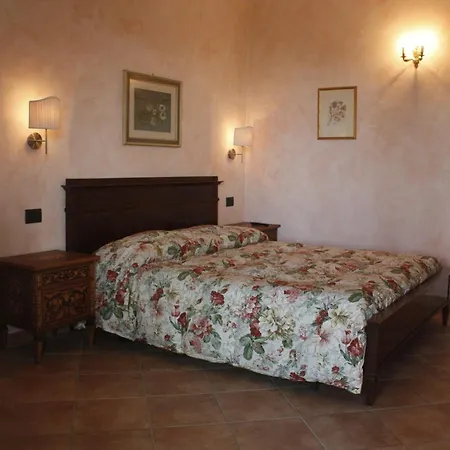 Ulivi Di Castello