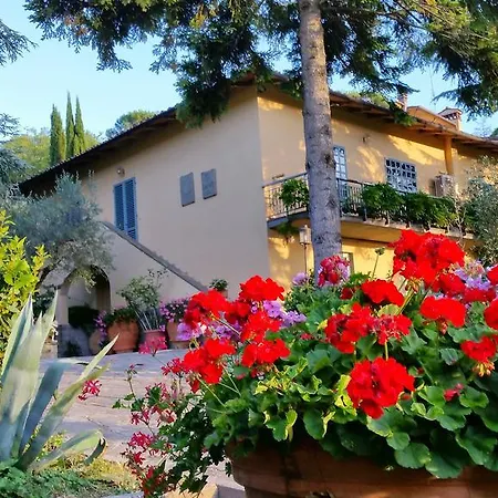 Bed & Breakfast Ulivi Di Castello 3*