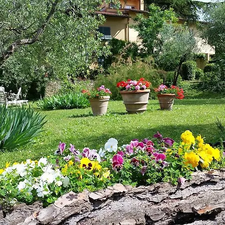 Ulivi Di Castello Bed & Breakfast Firenze