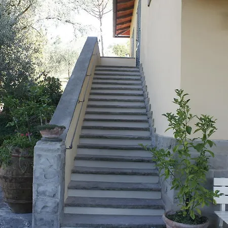 Bed & Breakfast Ulivi Di Castello