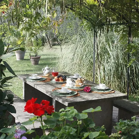 Bed & Breakfast Ulivi Di Castello