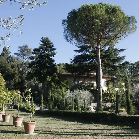 Ulivi Di Castello Bed & Breakfast Firenze