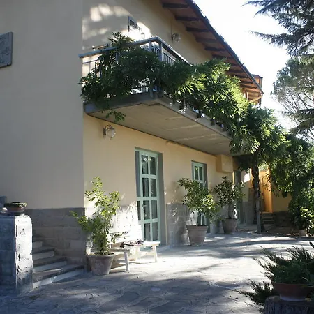Ulivi Di Castello Firenze