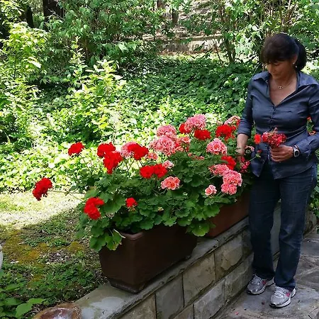 Bed & Breakfast Ulivi Di Castello