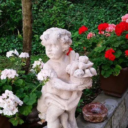 Ulivi Di Castello Couette-café