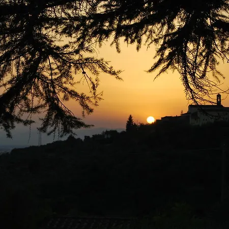 Ulivi Di Castello Bed & Breakfast