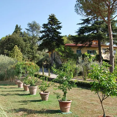 Couette-café Ulivi Di Castello 3*